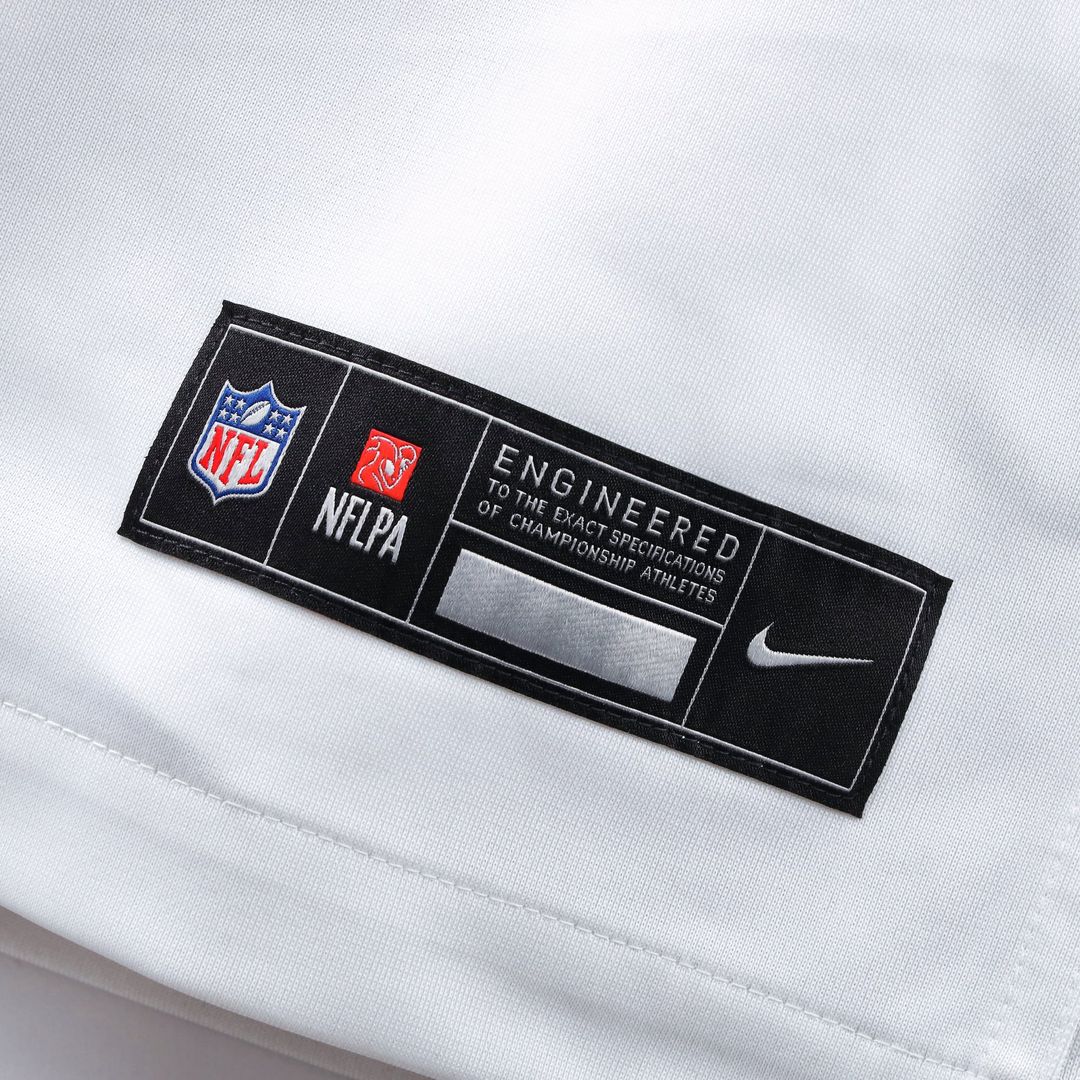 Washington Commanders Sean Taylor Nike Black Hail Raiser Alternate Retired Player Game Jersey