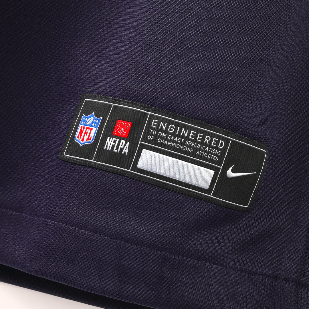 Minnesota Vikings Andrew Van Ginkel Nike Purple 2026 Rivalries Collection Game Jersey